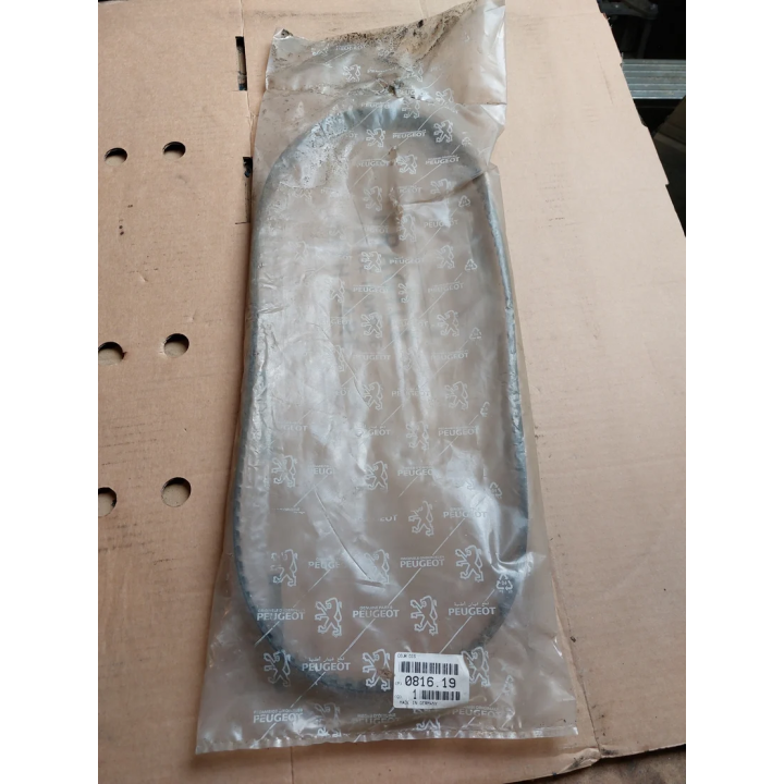 courroie distribution ZDJ Ref: 0816.19